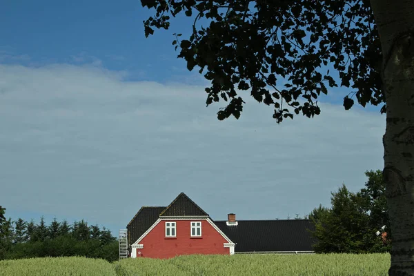 Красный дом возле зеленого поля — стоковое фото
