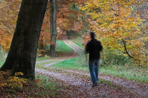 Muž v podzimní les — Stock fotografie