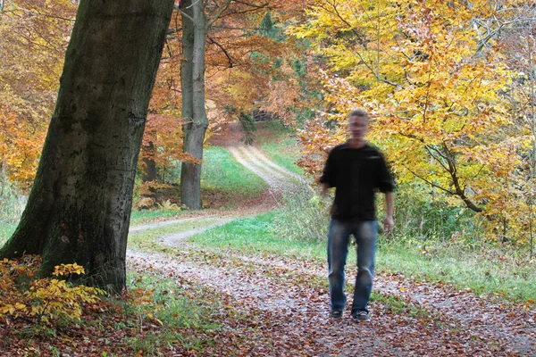 Homem caminhando na floresta — Fotografia de Stock