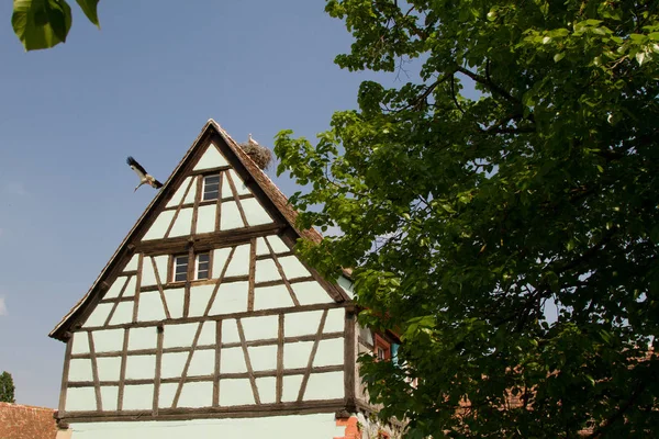 Half timbered house in Alsace — Stock Photo, Image