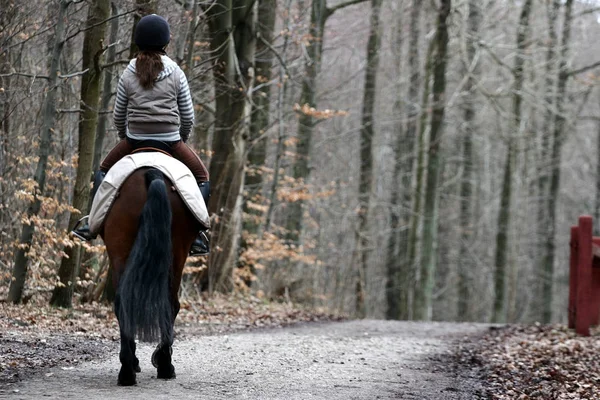 Tjej Befria Häst Skogen Danmark — Stockfoto