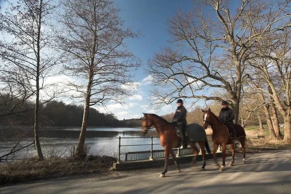 Menschen Reiten Pferde Einem Wald Dänemark — Stockfoto