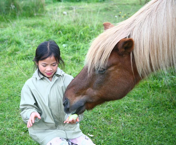 Кінь Полі Влітку Милою Китайською Дівчиною — стокове фото