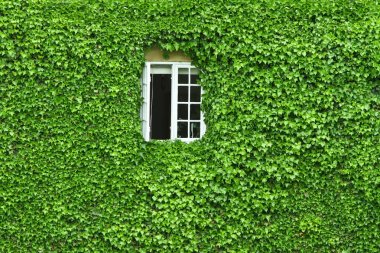 Danimarka: Fyn adasında Svenborg görünümünü