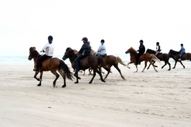 Atları Danimarka'da bir ormandaki ridding insanlar