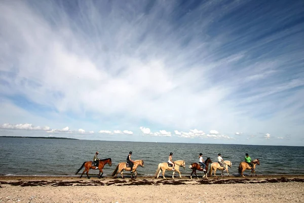 Atları Danimarka Bir Ormandaki Ridding Insanlar — Stok fotoğraf