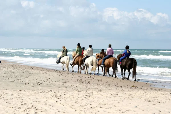 People Ridding Horses Forest Denmark — Stock Photo, Image