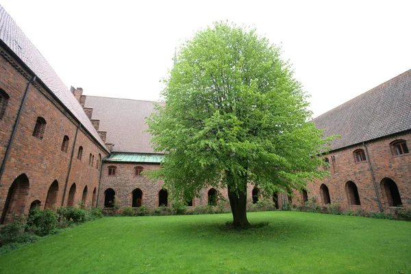Vor Frue kloster, ett karmeliterklostret i Helsingör (Helsing — Stockfoto