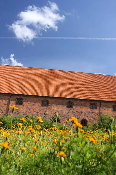 Vor Frue klasztor, Klasztor Karmelitów w Elsinore (Helsing — Zdjęcie stockowe