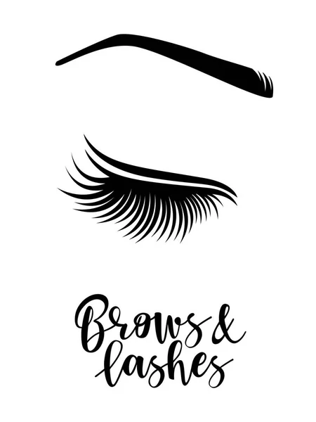 Vector illustration of brows and lashes — Stock Vector