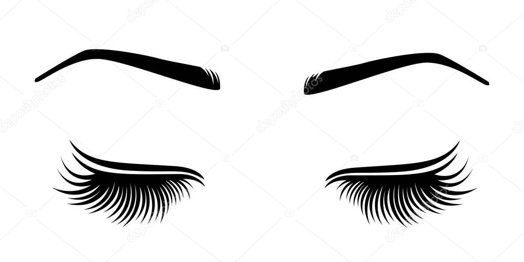 Vector illustration of lashes and brow. 