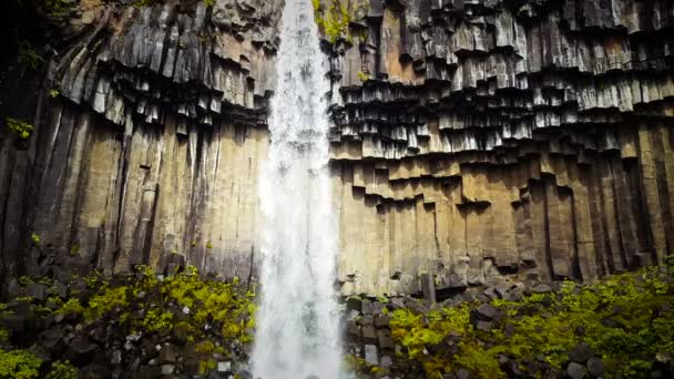 İzlanda'daki şelale Svartifoss — Stok video