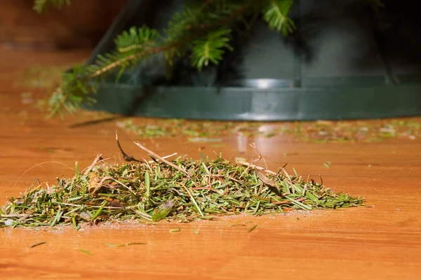 Dopo il mucchio di Natale del livello del pavimento degli aghi — Foto Stock