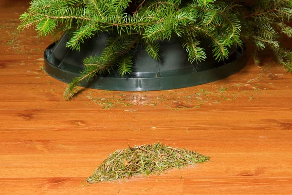After Christmas Tree with Pile of Needles — Stock Photo, Image