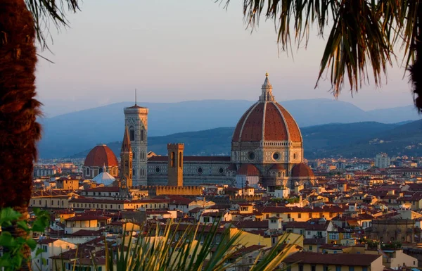 Evropa Florencie obklopený palmami — Stock fotografie