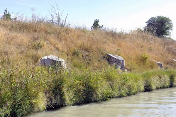 2200 hastalıklı çınar ağaçlarının Canal du kıyısında kesilmiş 