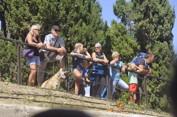 Spectators on the locks — Stock Photo, Image