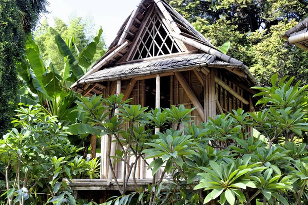 繁殖的 Anduze 竹人工林的老挝房子 — 图库照片