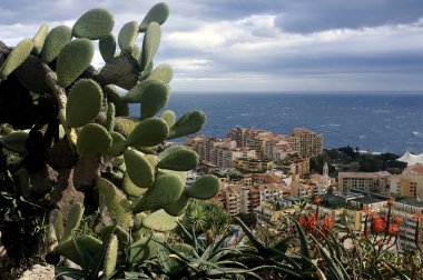 Monako 'nun ön planda kaktüsleri olan egzotik bahçenin yükseklerinden havadan görünüşü
