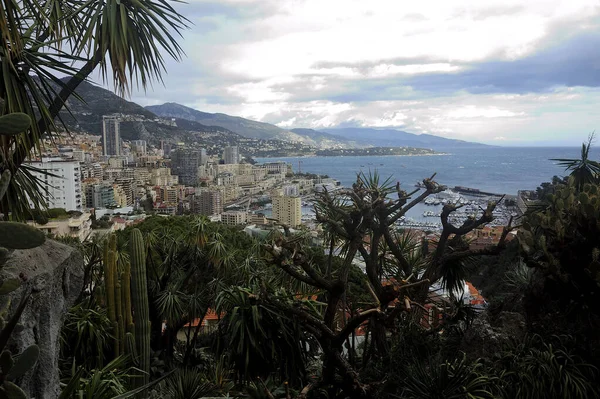 Vista Aérea Mónaco Desde Las Alturas Del Exótico Jardín Con — Foto de Stock