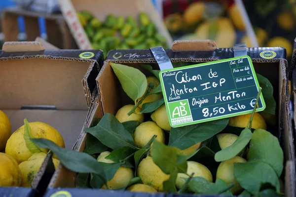 Продаж Місцевих Лимонів Садах Біовес Ментоні Під Час Лимонного Фестивалю — стокове фото