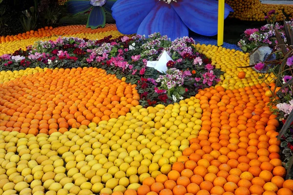 Şubat 2020 Deki Limon Festivali Sırasında Menton Daki Bioves Bahçeleri — Stok fotoğraf