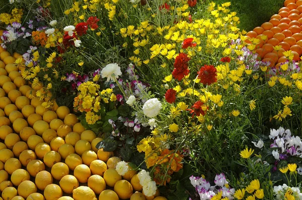 Сади Bioves Ментоні Під Час Лимонного Фестивалю Лютому 2020 Року — стокове фото