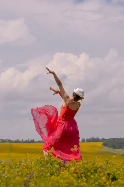 美丽的年轻女子在长粉红色的礼服和白色的帽子在绿色的草地上跳舞 Happu 和免费的书籍封面概念 — 图库照片