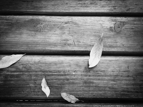 Superficie Texturizada Madera Con Hojas Naturales Redondas Vista Superior Cerca —  Fotos de Stock