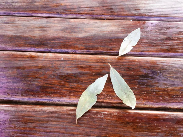 Superficie Texturizada Madera Con Hojas Naturales Redondas Vista Superior Cerca —  Fotos de Stock