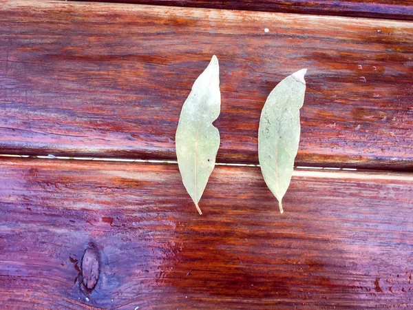 Superficie Texturizada Madera Con Hojas Naturales Redondas Vista Superior Cerca —  Fotos de Stock