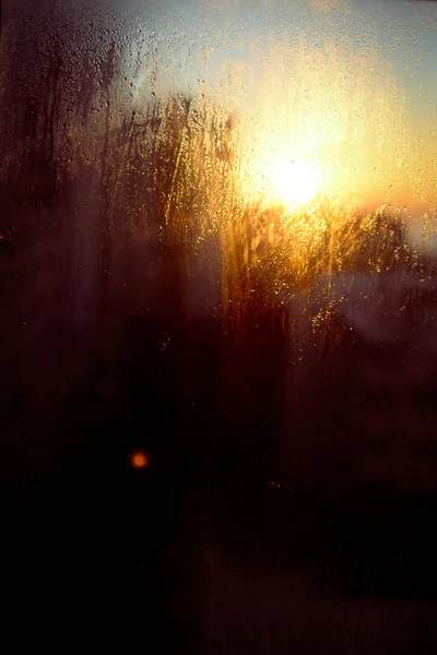 Natuurlijke Condensatie Druppels Achtergrond Transparant Sunshine Glas — Stockfoto