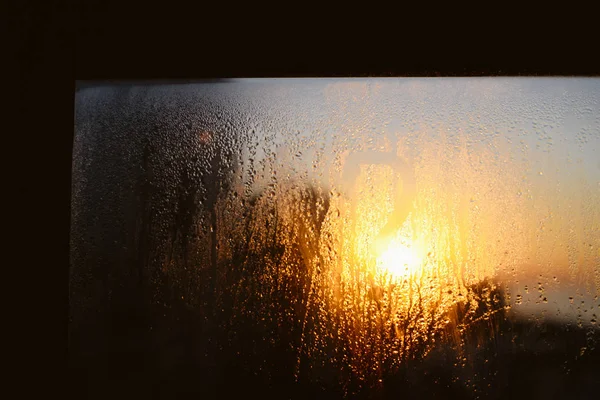 Close Desfocado Condensado Gotas Água Chuvosa Contra Sol Brilhando Céu Fotos De Bancos De Imagens