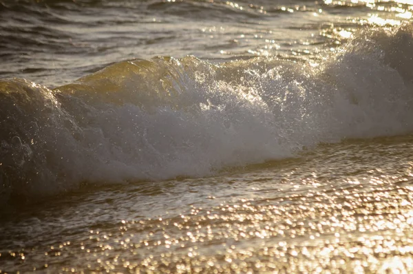 Doğal okyanus suları yüzey soyut güneşli açık havada arka plan bulanık