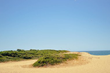 Kumlu sahil boyunca güneşli sahil mavi gökyüzü arkaplanı üzerinde. Doğal manzara manzaralı kıyı şeridi.