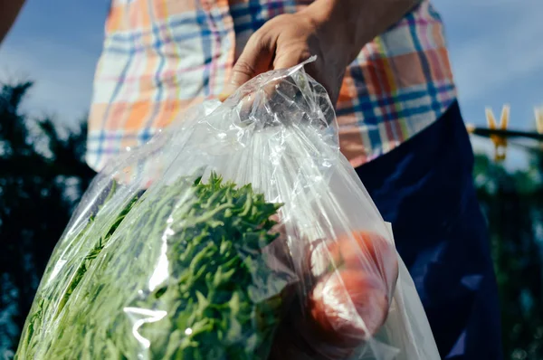 野菜の緑の食料品と男の手のショッピングバッグを保持上の閉鎖 消費主義 様々な商品背景 — ストック写真
