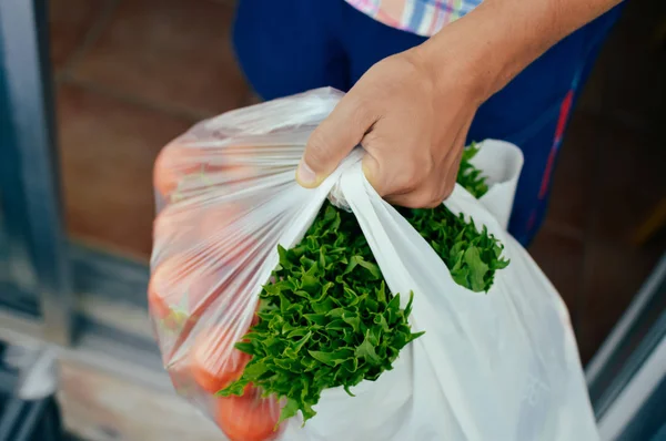 Encerramento Homem Mão Segurando Saco Compras Com Legumes Mercearia Verde — Fotografia de Stock