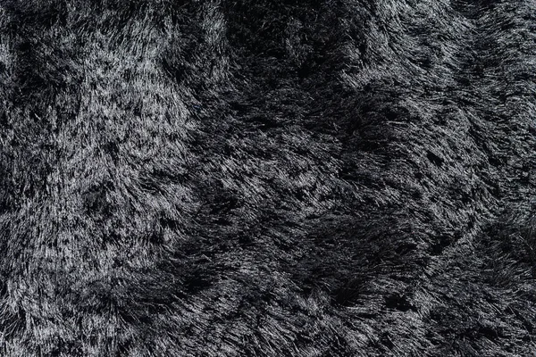 Halıya yakın desenli örnek görüntüsü, boş boş fotokopi alanı iç arkaplan. Siyah ve beyaz renkler