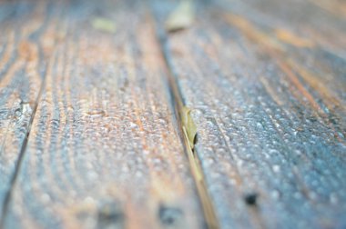 Kahverengi ahşap yüzey doğal dokulu arka plan, makro fotoğrafçılığı kapat. Sezon dışı yoğunlaştırılmış parlak yüzey