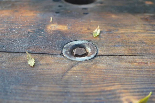 Brun Träyta Naturlig Strukturerad Bakgrund Närbild Makro Fotografi Säsong Utomhus — Stockfoto