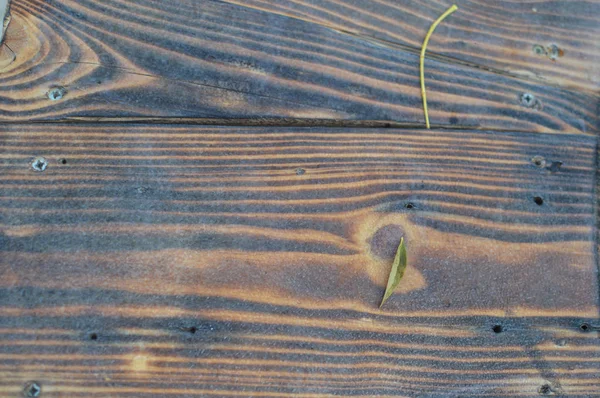 棕色木制表面自然纹理背景 近距离宏观摄影 季节室外冷凝光亮的表面 — 图库照片