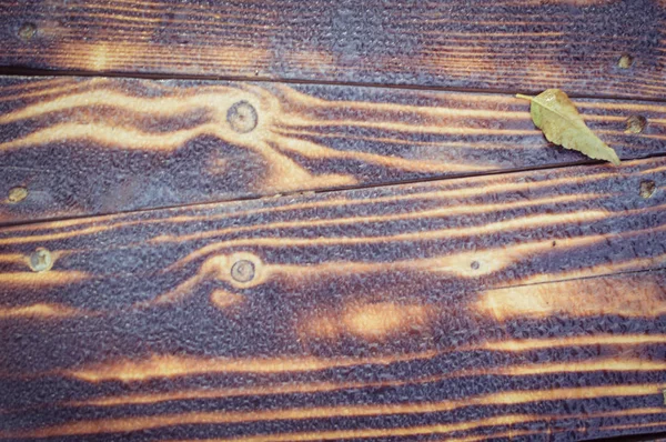 Surface en bois brun fond texturé naturel, gros plan macro photographie. Saison extérieure surface brillante condensée — Photo