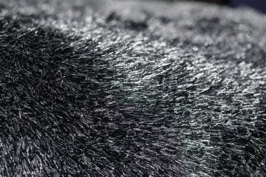 Dokulu halı soyutlama dekoratif arka planını kapatın. Doğal desen, temiz yüzey düzgün döşeme duvar kopya alanı