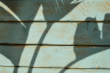 Gerçek ahşap doğal eski kalıpları dokulu arka plan mavi