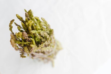 hafif ahşap mutfak üzerinde taze çiğ kuşkonmaz yüzey iş