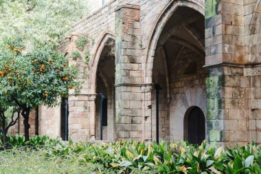 Barcelona, Katalunya, İspanya 'da kemer yürüyüşleri ve portakal ağaçları olan geleneksel kale avlusu