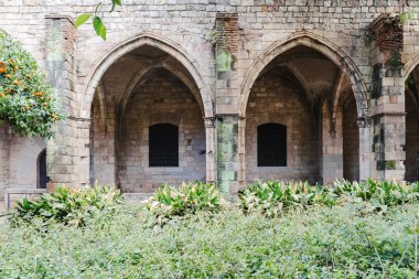 İspanya, Barselona 'da portakal ağaçları olan geleneksel kale avlusu
