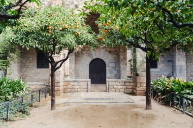 Traditional castle yard with orange trees in Barcelona, Spain clipart