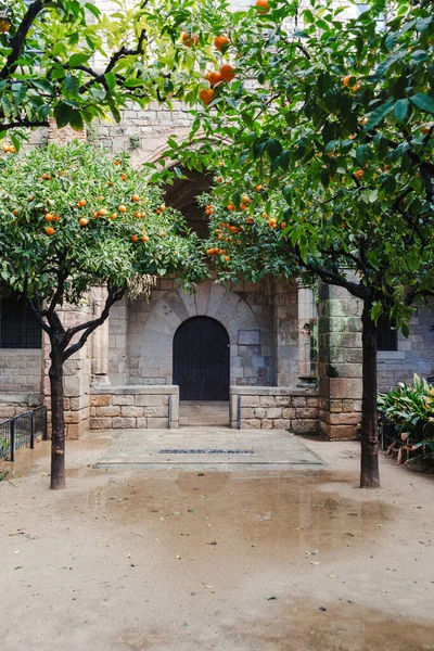 西班牙巴塞罗那传统的带有桔树的城堡院子 — 图库照片
