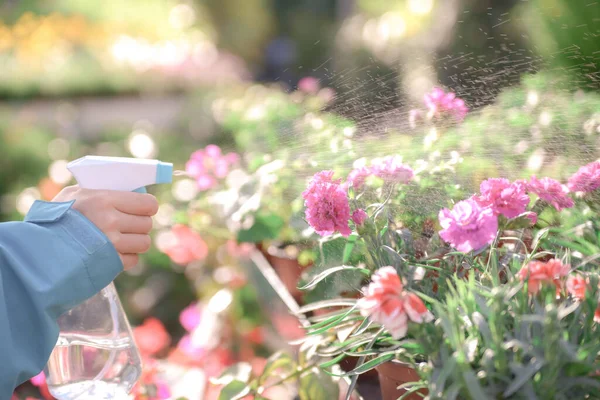 Closeup Shot Child Hand Watering Flowers Pot Using Spray Tool — Stock Photo, Image